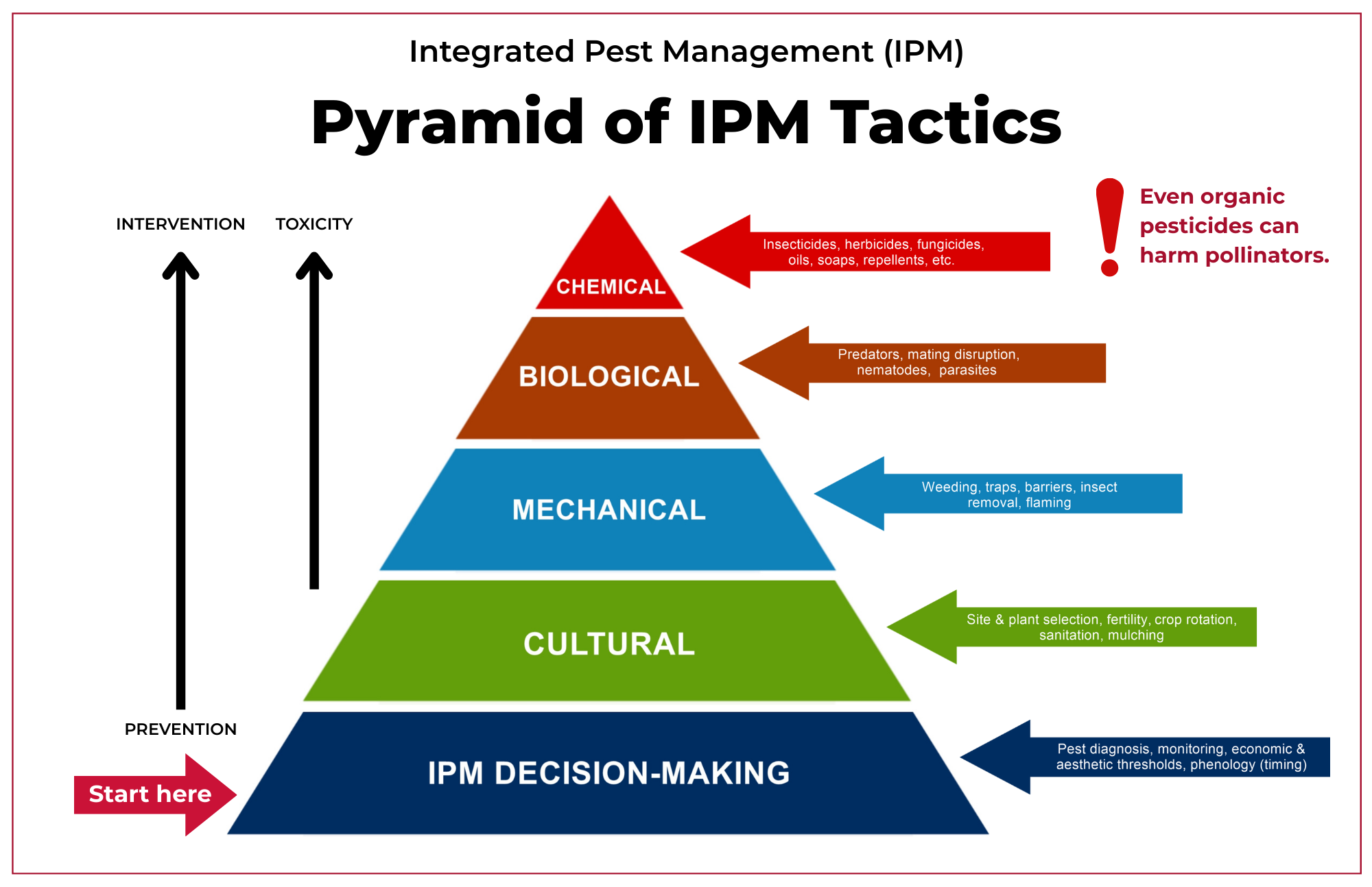 Pyramid of IPM Tactics showing first level as IPM Decision-making, then cultural, mechanical, biological and as a last resort, chemical methods to control plant pests. 