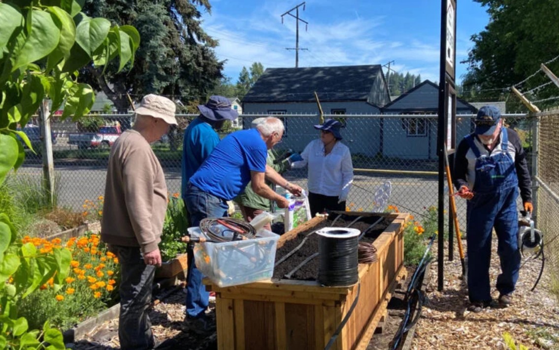 People examining native plants.