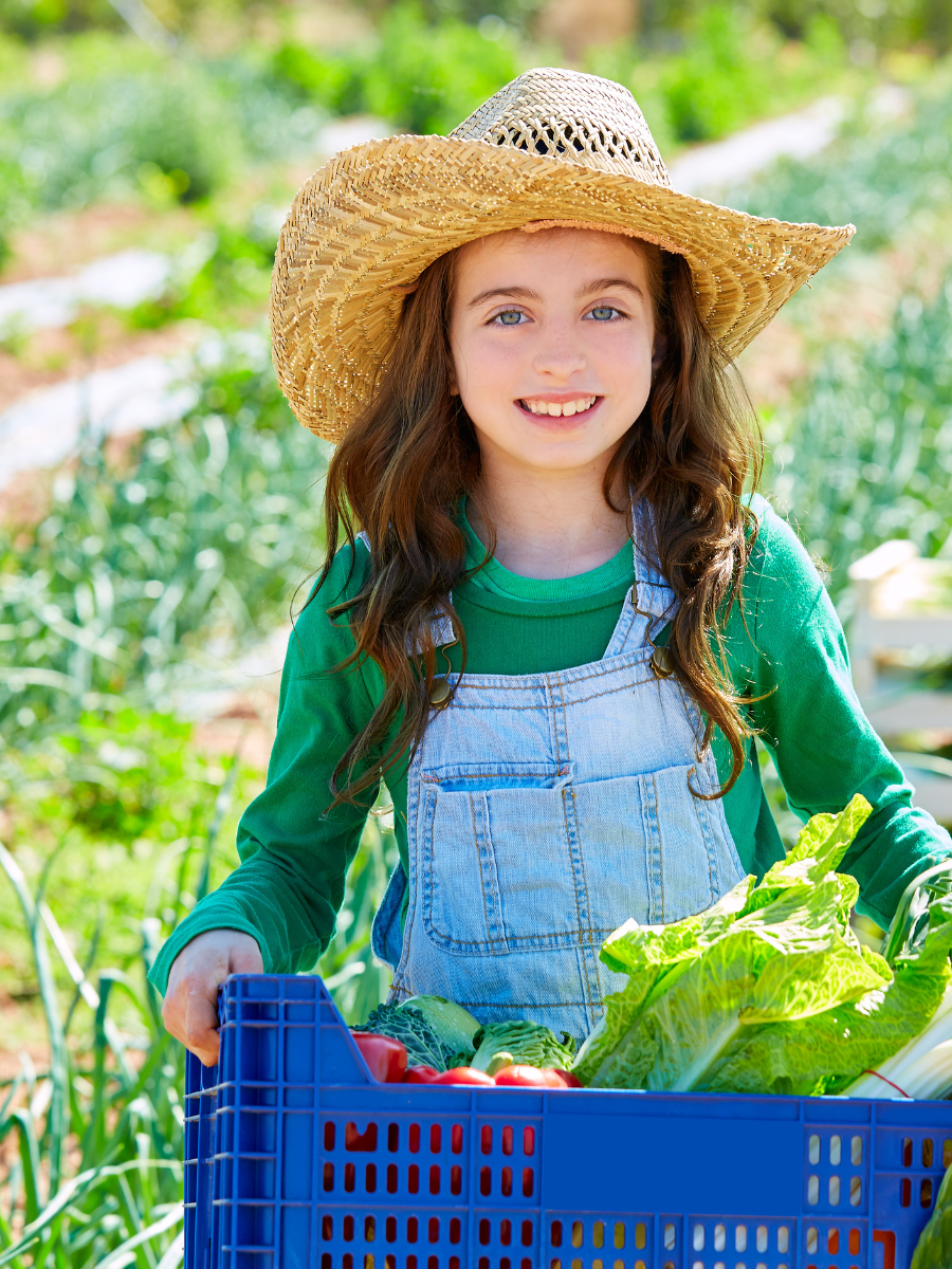 People examining native plants.