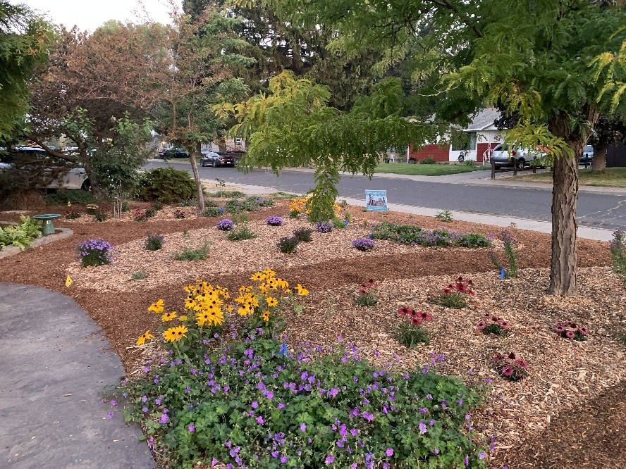 People examining native plants.