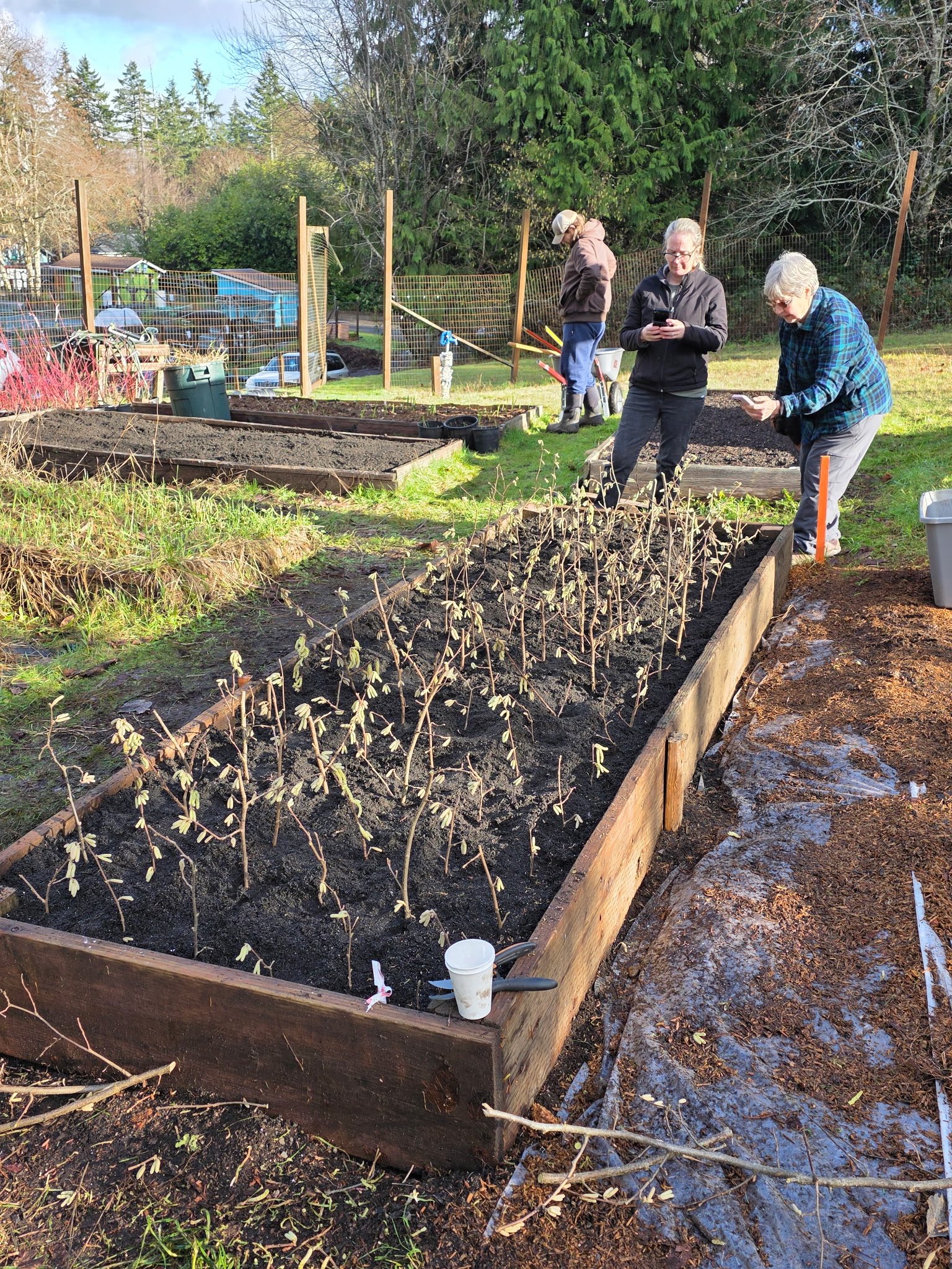 People examining native plants.