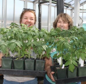 Two women holding tomato plants