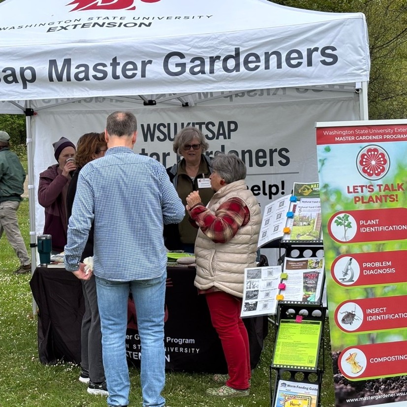 People examining native plants.