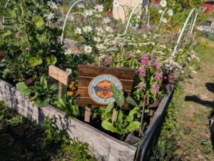 Eatonville community garden bed