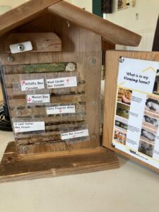 Mason bee house