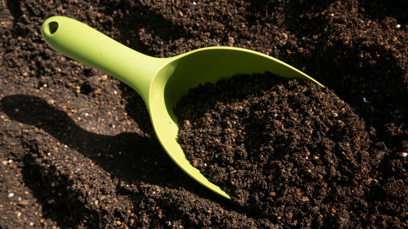 Green scoop of soil