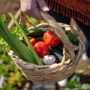 Basket of garden vegetables