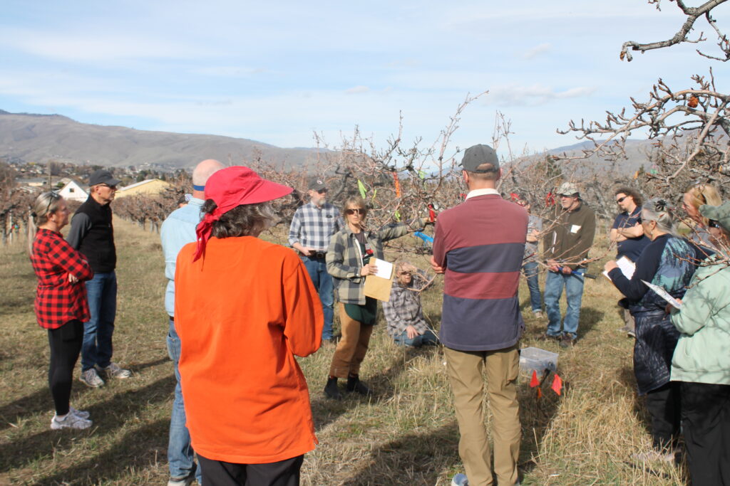 Group of people learning about caring for backyard fruit trees.
