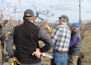 Group of people learning how to care for fruit trees