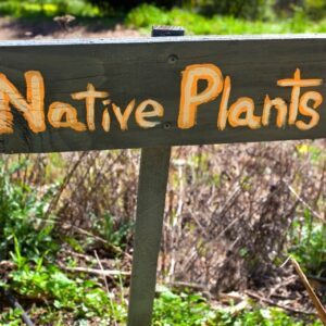 native plant sign
