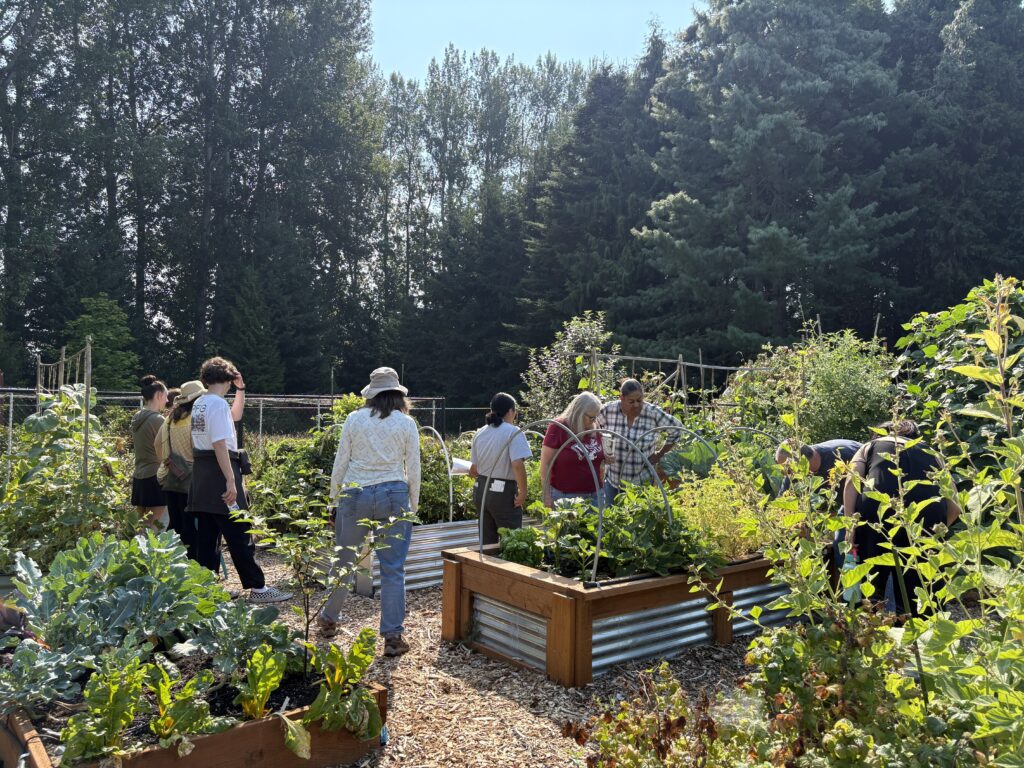 People visiting a raised bed garden