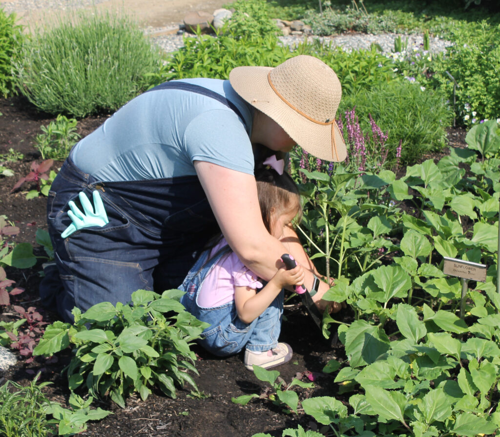 Woman helping her young child pick beans.