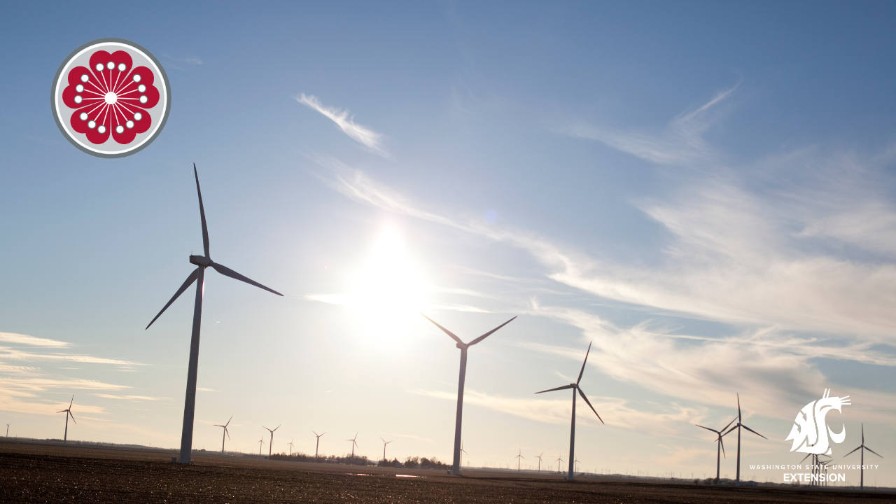Wind machines in the field.