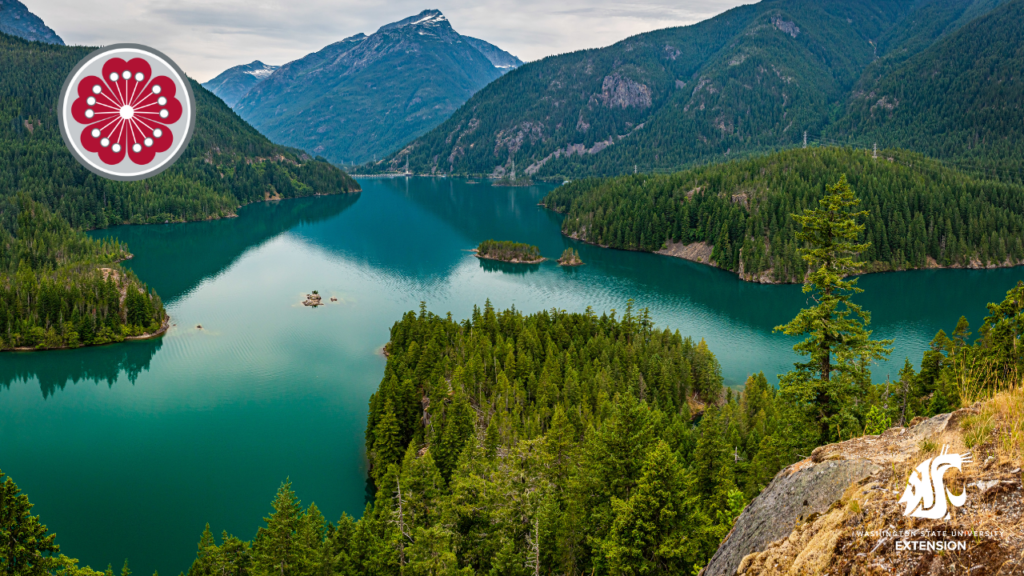 Zoom background clean water North Cascades.
