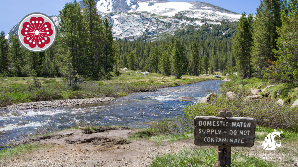 Clean water zoom background