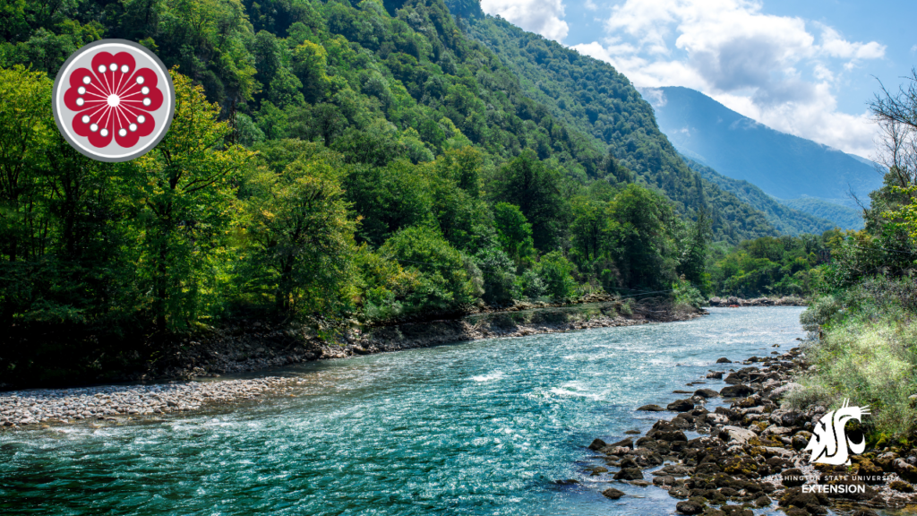 Clean water zoom background mountain stream.