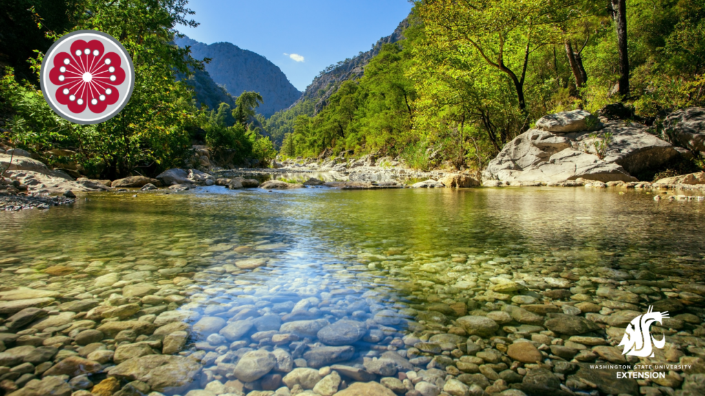Clean water zoom background river