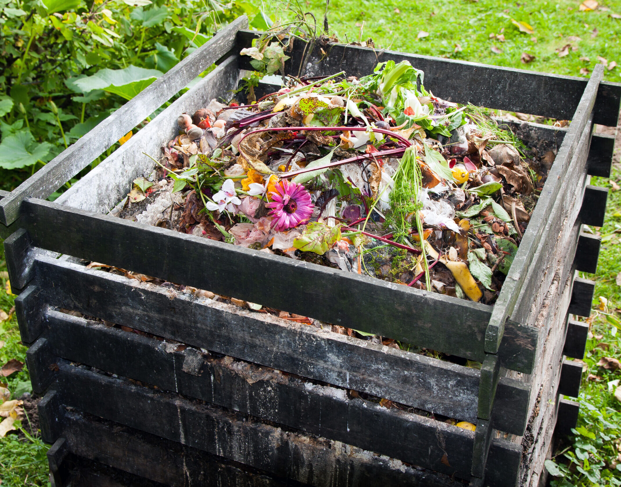 Compost bin.