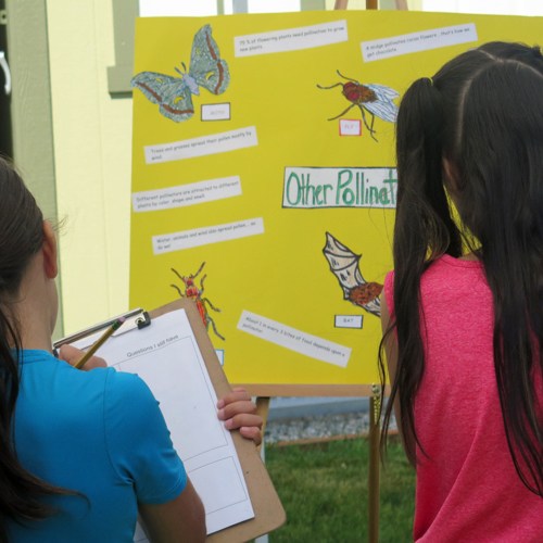 Two children taking notes from a pollinator poster.