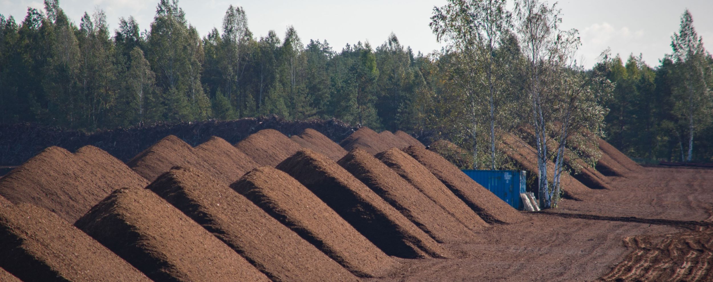 Harvested peet moss.
