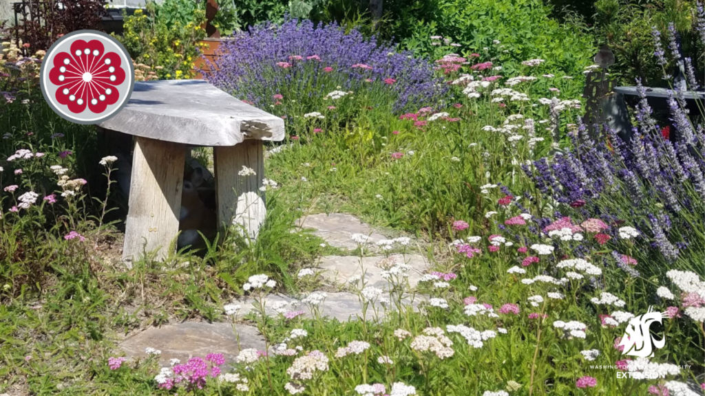 Plant biodiversity landscape zoom background