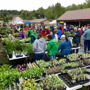 An outdoor Master Gardener plant sale.