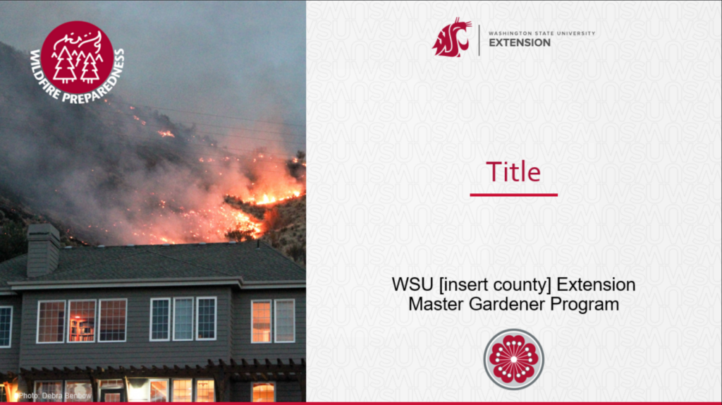 Wildfire Power Point thumbnail