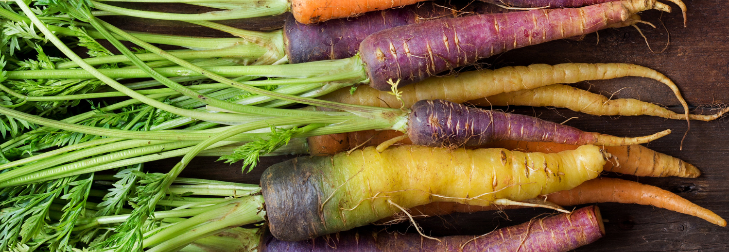 Rainbow carrots.