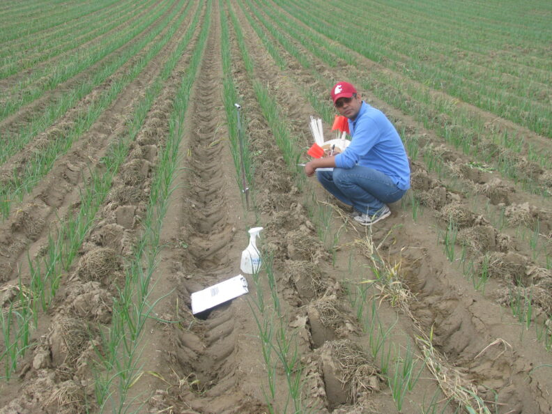 Dipak Sharma in a field