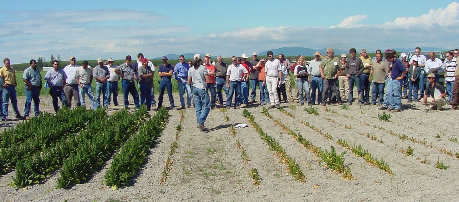International Spinach Conference 2006