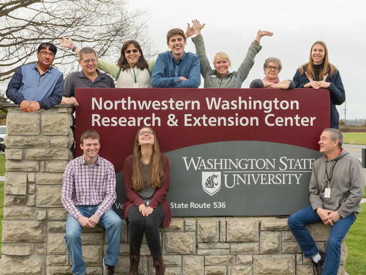 Group of team members