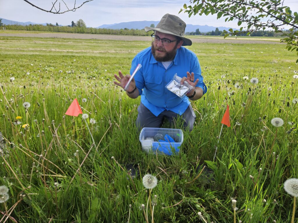 a bearded person wearing a bright blue shirt and a tan bucket hat is kneeling in a green field with dandelions.