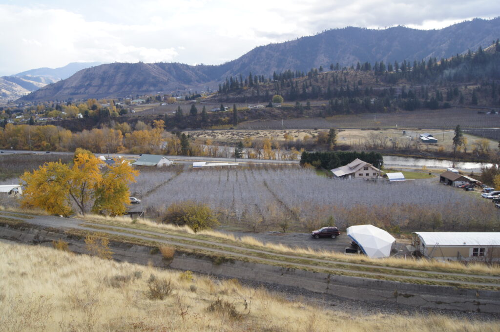 sweeping view of the Wenatchee Valley in the fall, with dried grass in the foreground, mountains in the background, and a pear orchard amongst several buildings freshly sprayed with kaolin clay, giving it a whitish hue.