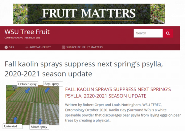 fruit matters newsletter heading