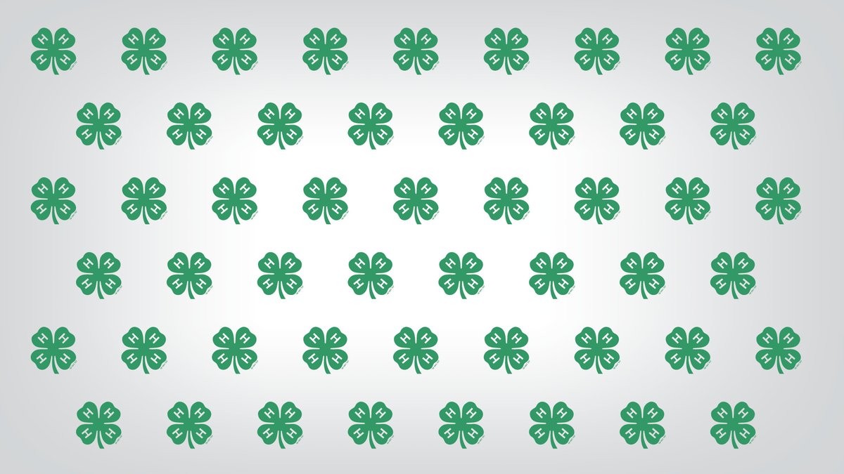 Decorative, Green 4-H clover with white background