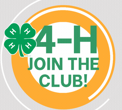 4-H. Join the Club.