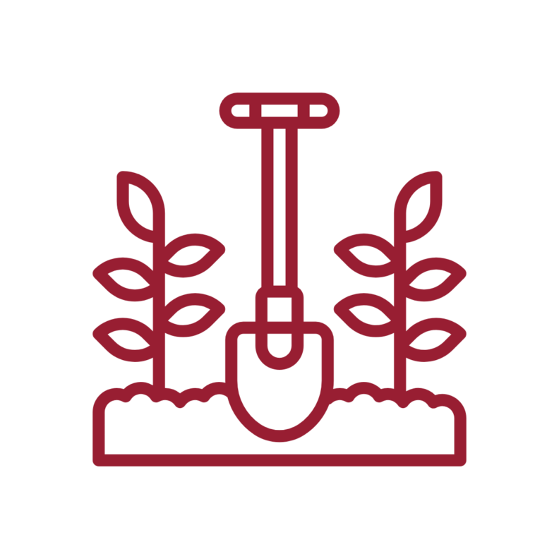 Decorative. A clipart image of a crimson shovel in the ground with two plants next to the shovel.