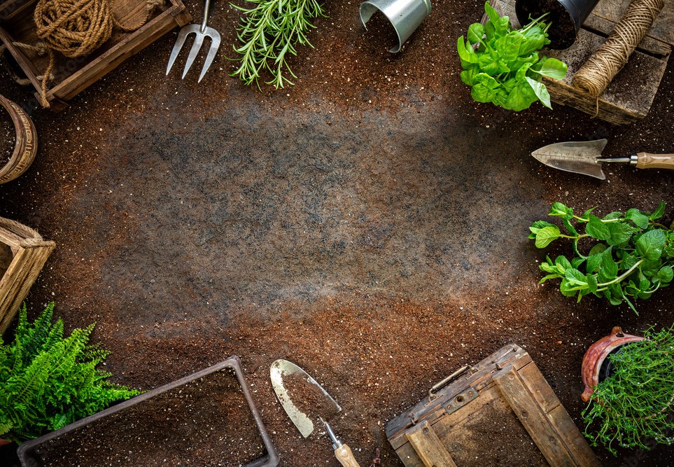 Decorative. Image of several different plants and gardening tools with dirt.