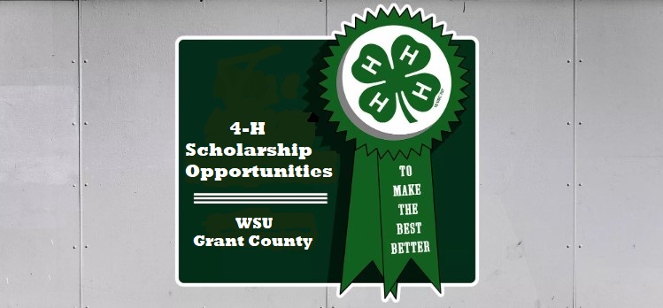 4-H Scholarship Opportunities Grant County. To Make the Best Better. 