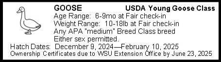 Decorative image of a goose, with the same text as listed about 4- H requirements regarding USDA Young Goose class for the Grant County Fair.