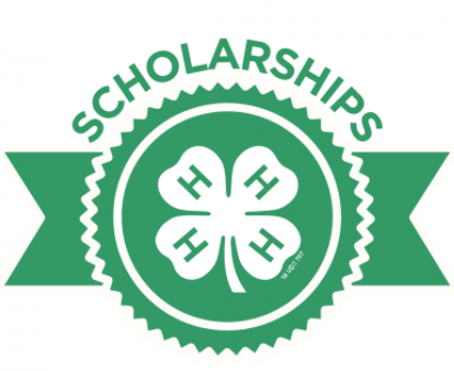 Green Ribbon with a white 4-H Four Leaf Clover in the center and white text above that says Scholarships.                                                                                                                                                                                                                                                                                                                                                                                                                                                                                                                                                                                                                                                                                                                                                                                                                                                                                                                                                                                                                                                                                                                                                                                                                                                                                                                                                                                                                                                                                                                                                                                                                                                                                                                                                                                                                                                                                                                                                                                                                                                                                                                    
                                                                                                                                                                                               