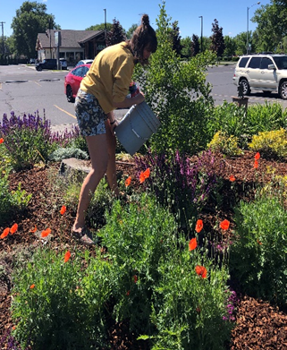 Bobbie spreading mulch in the Moses Lake demonstration garden