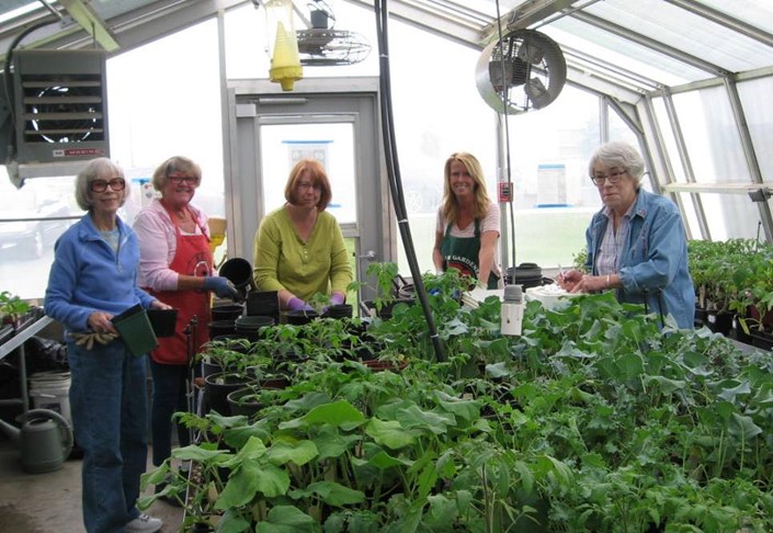 Master Gardeners working in a greenhouse with plants for a plant sale