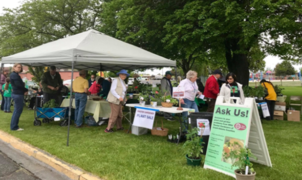 Plant sale at the Moses Lake Farmers Market