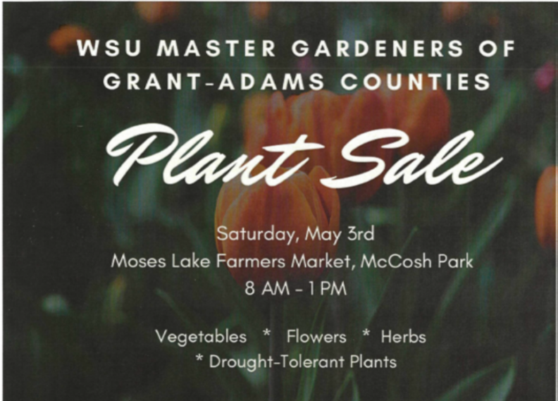 2025 Plant Sale advertisement