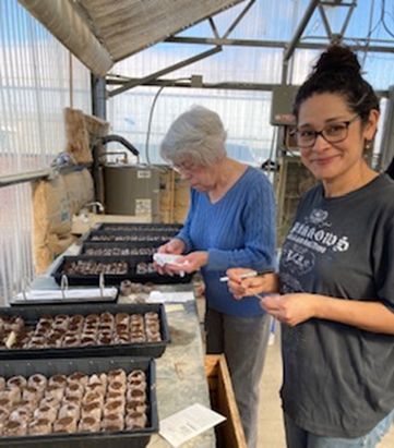 Two Master Gardeners starting plants from plugs