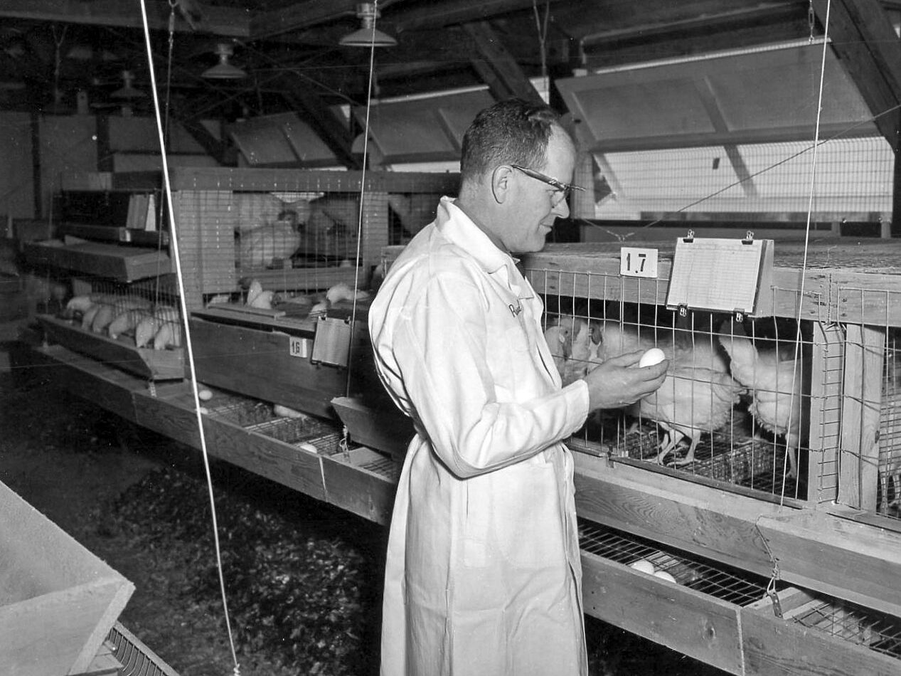 A man in a white lab coat standing in a chicken house holding an egg.