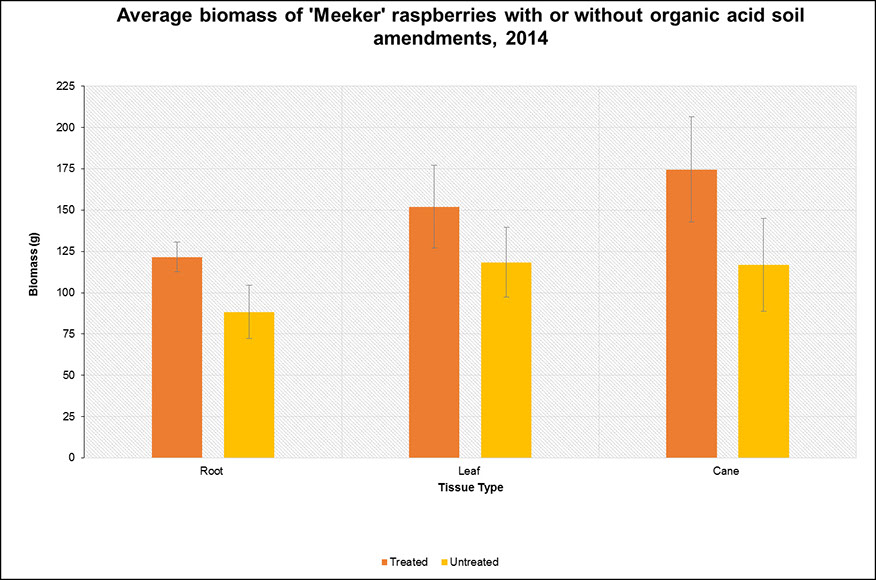 Graph indicating average biomass of Meeker raspberries