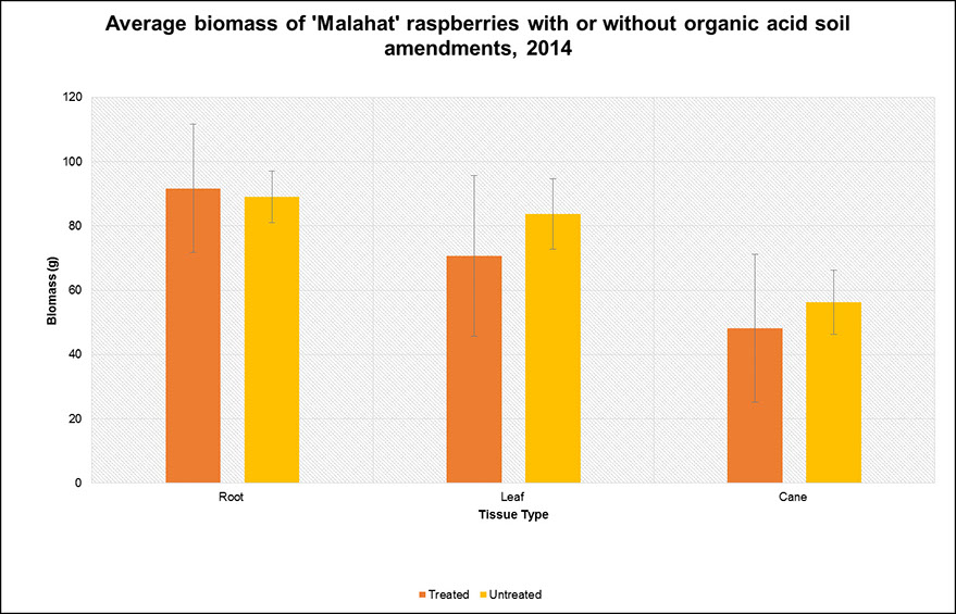 Graph indicating average biomass of Malahat raspberries