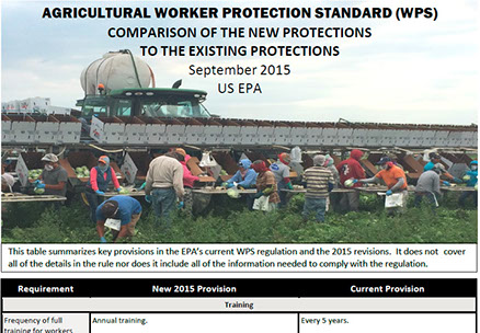 Partial screencap of chart comparing new and existing federal worker protection standards